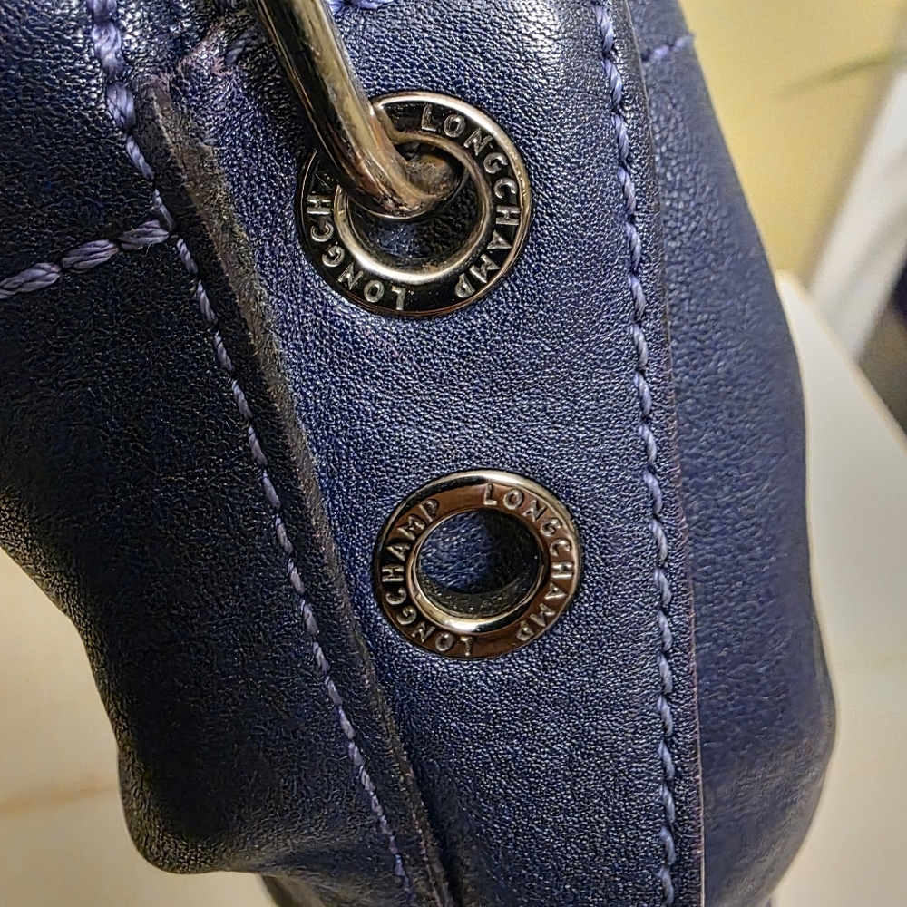 Longchamp | Indigo Leather 3D Hobo Bag - Picture 7 of 16